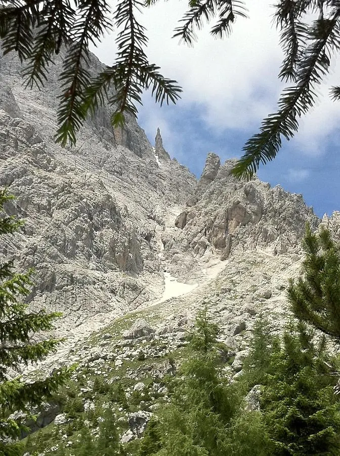 La Casa Di Dina Διαμέρισμα Santo Stefano Di Cadore Ιταλία