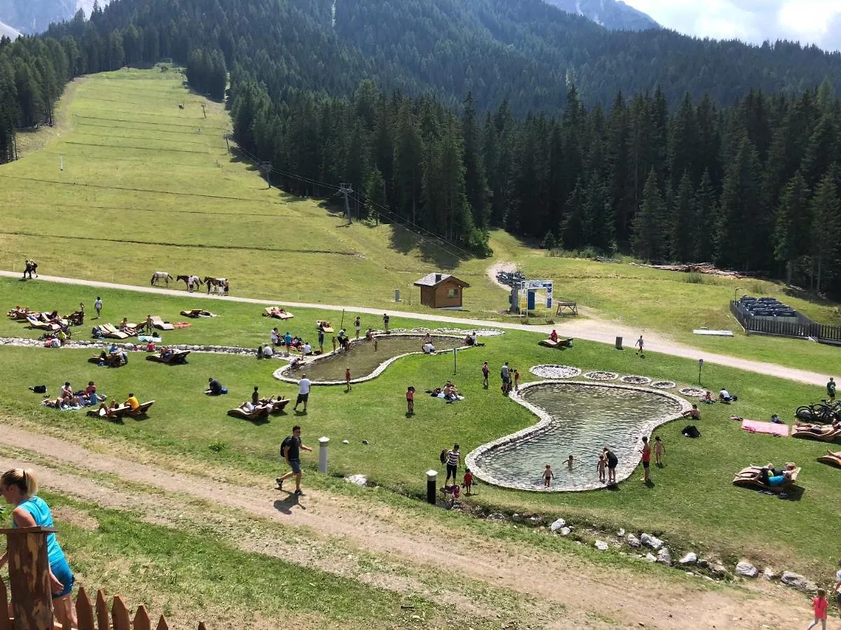 La Casa Di Dina Διαμέρισμα Santo Stefano Di Cadore